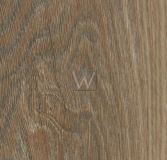 Panele winylowe Forbo Allura Natural Weathered Oak w60187 Panele winylowe