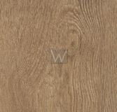 Panele winylowe Forbo Allura Forest Green Oak w60075 Panele winylowe