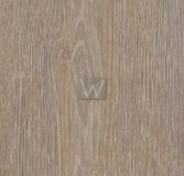 Panele winylowe Forbo Allura Steamed Oak w60293 