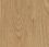 Panele winylowe Forbo Allura Honey Elegant Oak w60065